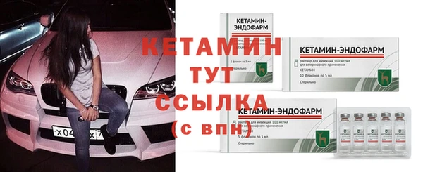 крисы Арсеньев