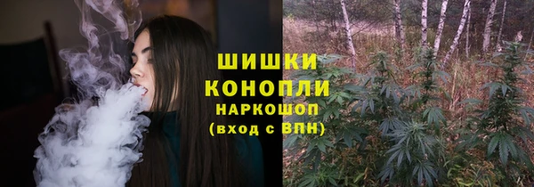 крисы Арсеньев
