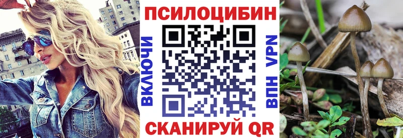 Псилоцибиновые грибы Magic Shrooms Лабытнанги